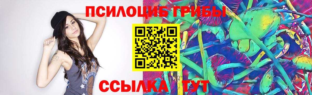 Галлюциногенные грибы Cubensis Алушта