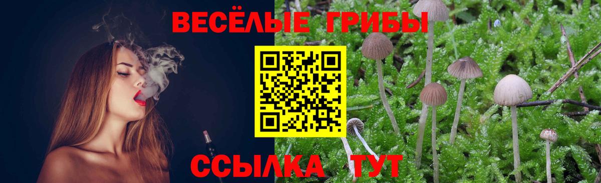 Алушта  Галлюциногенные грибы GOLDEN TEACHER  Псилоцибиновые грибы Magic Shrooms  Вход с VPN 